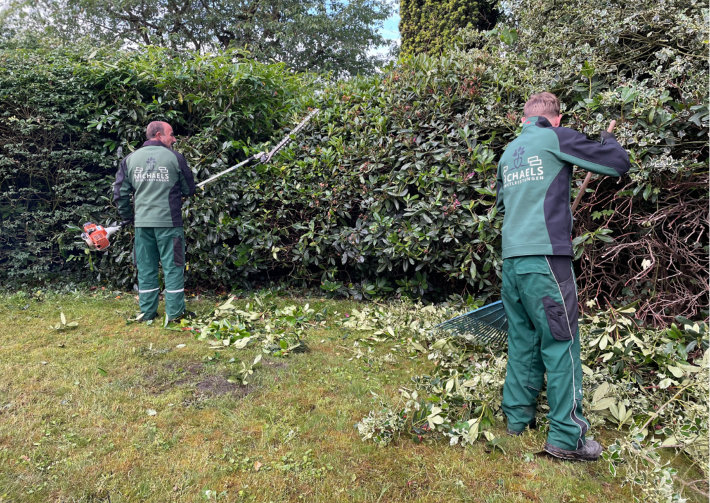 Herbstarbeiten Diepholz Michaels Dienstleistungen GmbH